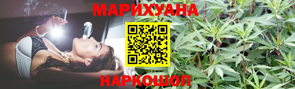 Канабис OG Kush Сунжа